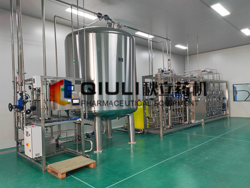 湖南（nán）一格（gé）製藥有限公司--純（chún）化水製備係統用戶現場（chǎng）設備